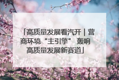 高质量发展看汽开｜营商环境“主引擎” 轰响高质量发展新赛道