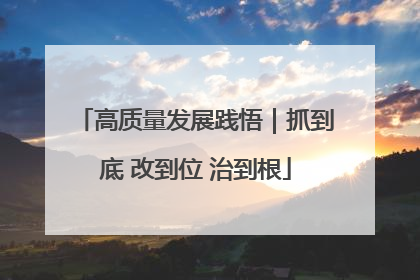 高质量发展践悟｜抓到底 改到位 治到根