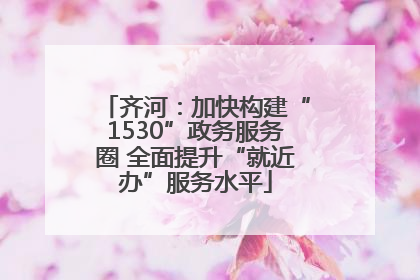 齐河：加快构建“1530”政务服务圈 全面提升“就近办”服务水平