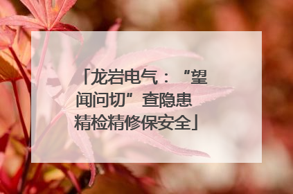 龙岩电气：“望闻问切”查隐患 精检精修保安全
