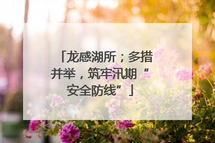 龙感湖所；多措并举，筑牢汛期“安全防线”