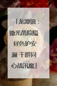 龙潭镇：锄光凿险隘 昼色护安澜 干群同心战汛魔