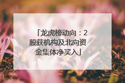 龙虎榜动向：2股获机构及北向资金集体净买入