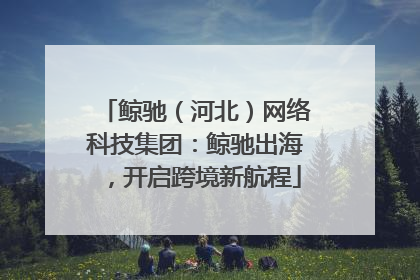 鲸驰（河北）网络科技集团：鲸驰出海，开启跨境新航程