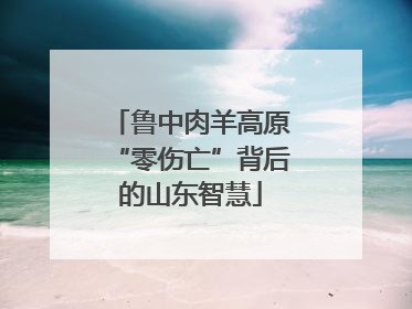 鲁中肉羊高原“零伤亡”背后的山东智慧