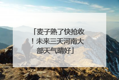 麦子熟了快抢收！未来三天河南大部天气晴好