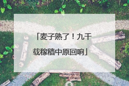 麦子熟了！九千载稼穑中原回响