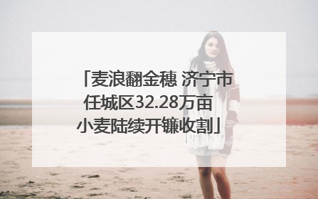麦浪翻金穗 济宁市任城区32.28万亩小麦陆续开镰收割