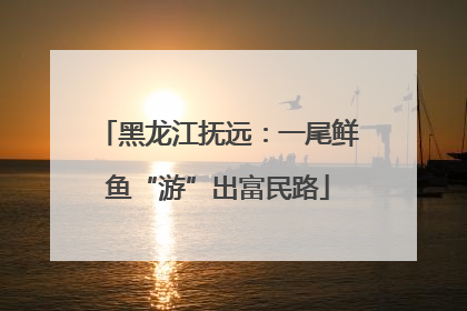 黑龙江抚远：一尾鲜鱼“游”出富民路