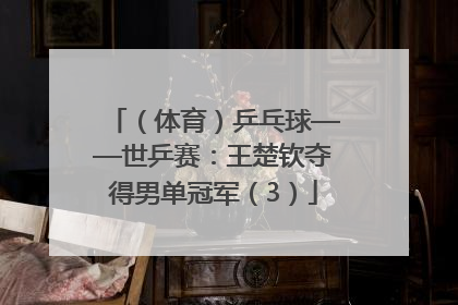 （体育）乒乓球——世乒赛：王楚钦夺得男单冠军（3）