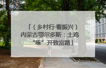 （乡村行·看振兴）内蒙古鄂尔多斯：土鸡“啄”开致富路