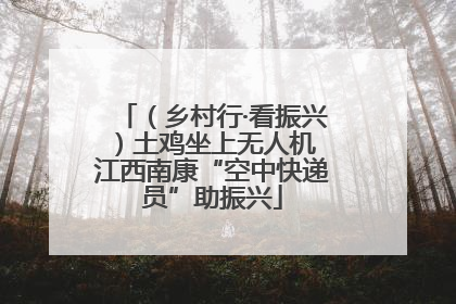 （乡村行·看振兴）土鸡坐上无人机 江西南康“空中快递员”助振兴