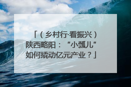 （乡村行·看振兴）陕西略阳：“小瓢儿”如何撬动亿元产业？