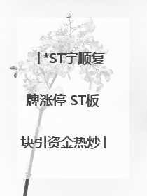 *ST宇顺复牌涨停 ST板块引资金热炒