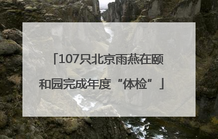 107只北京雨燕在颐和园完成年度“体检”