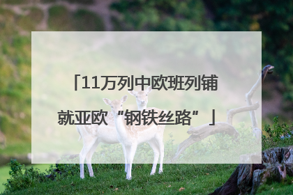 11万列中欧班列铺就亚欧“钢铁丝路”