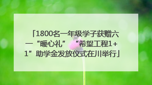 1800名一年级学子获赠六一“暖心礼” “希望工程1+1”助学金发放仪式在川举行
