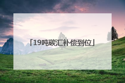 19吨碳汇补偿到位