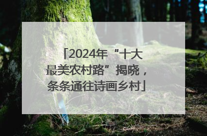 2024年“十大最美农村路”揭晓，条条通往诗画乡村