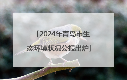 2024年青岛市生态环境状况公报出炉