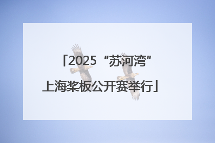 2025“苏河湾”上海桨板公开赛举行