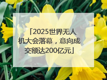 2025世界无人机大会落幕，意向成交额达200亿元
