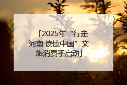 2025年“行走河南·读懂中国”文旅消费季启动