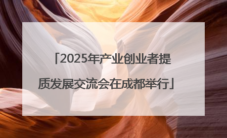 2025年产业创业者提质发展交流会在成都举行