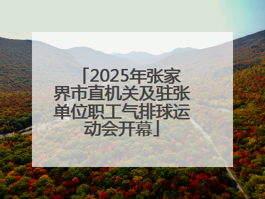 2025年张家界市直机关及驻张单位职工气排球运动会开幕