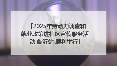 2025年劳动力调查和就业政策进社区宣传服务活动·临沂站 顺利举行