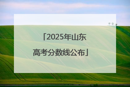 2025年山东高考分数线公布