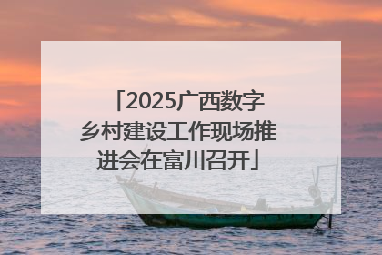 2025广西数字乡村建设工作现场推进会在富川召开
