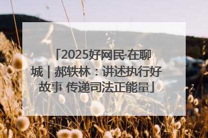 2025好网民·在聊城｜郝轶林：讲述执行好故事 传递司法正能量