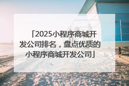 2025小程序商城开发公司排名，盘点优质的小程序商城开发公司