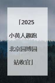 2025小黄人趣跑北京园博园站收官