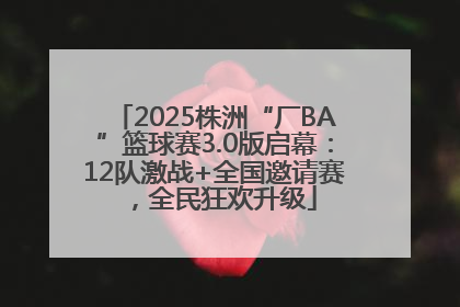 2025株洲“厂BA”篮球赛3.0版启幕：12队激战+全国邀请赛，全民狂欢升级