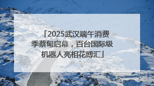2025武汉端午消费季蔡甸启幕，百台国际级机器人亮相花博汇
