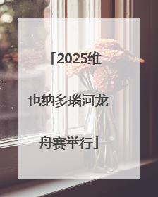 2025维也纳多瑙河龙舟赛举行