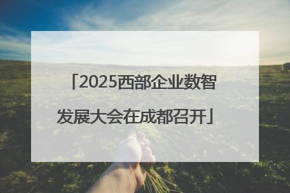 2025西部企业数智发展大会在成都召开