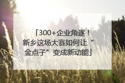 300+企业角逐！新乡这场大赛如何让“金点子”变成新动能