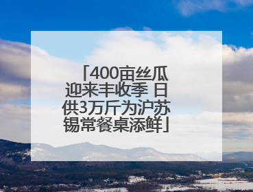 400亩丝瓜迎来丰收季 日供3万斤为沪苏锡常餐桌添鲜