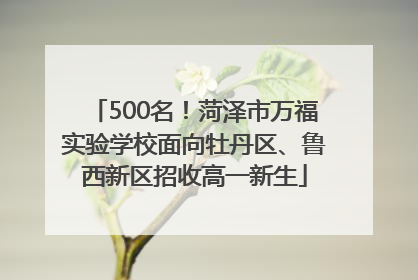500名！菏泽市万福实验学校面向牡丹区、鲁西新区招收高一新生