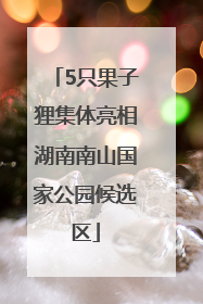 5只果子狸集体亮相湖南南山国家公园候选区