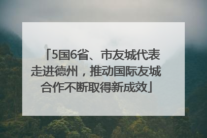 5国6省、市友城代表走进德州，推动国际友城合作不断取得新成效