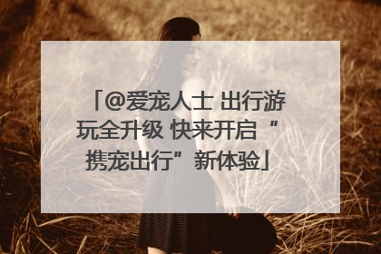 @爱宠人士 出行游玩全升级 快来开启“携宠出行”新体验