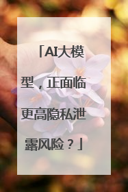 AI大模型，正面临更高隐私泄露风险？