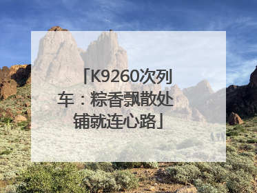 K9260次列车：粽香飘散处 铺就连心路