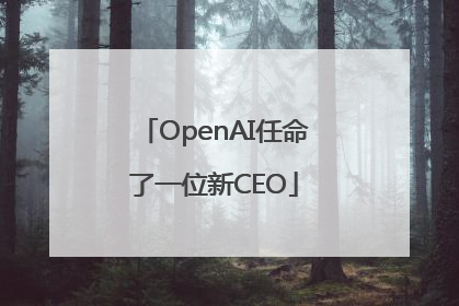 OpenAI任命了一位新CEO