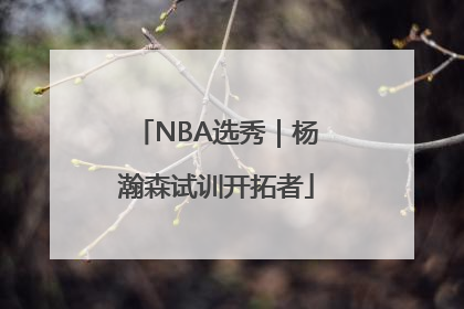 NBA选秀｜杨瀚森试训开拓者