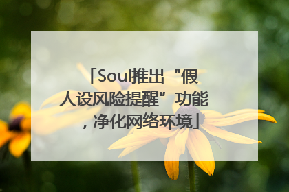 Soul推出“假人设风险提醒”功能，净化网络环境